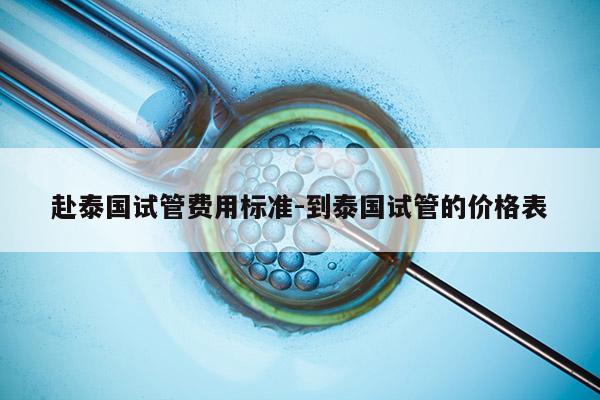 赴泰国试管费用标准-到泰国试管的价格表