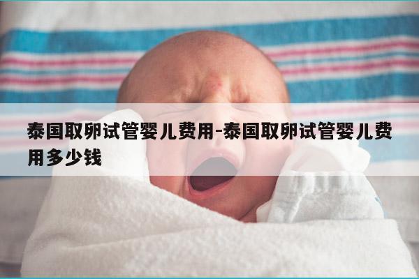 泰国取卵试管婴儿费用-泰国取卵试管婴儿费用多少钱