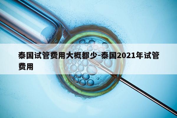 泰国试管费用大概都少-泰国2021年试管费用