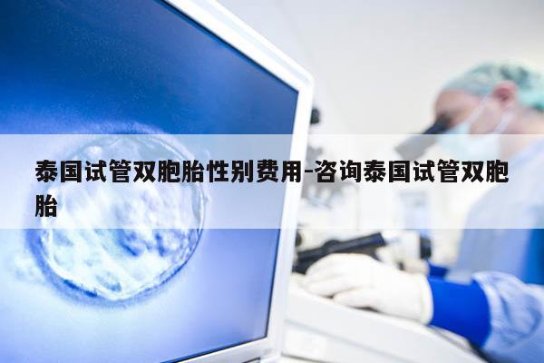 泰国试管双胞胎XB费用-咨询泰国试管双胞胎