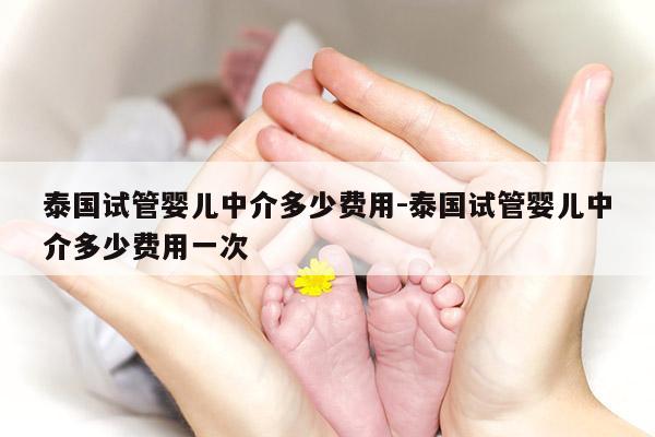 泰国试管婴儿中介多少费用-泰国试管婴儿中介多少费用一次