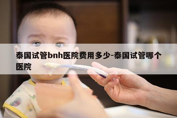 泰国试管bnh医院费用多少-泰国试管哪个医院