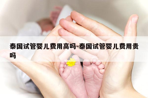 泰国试管婴儿费用高吗-泰国试管婴儿费用贵吗