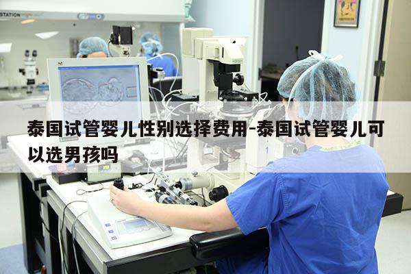 泰国试管婴儿XB选择费用-泰国试管婴儿可以选NH吗