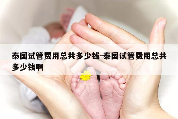 泰国试管费用总共多少钱-泰国试管费用总共多少钱啊